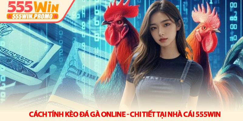 Cách tính kèo đá gà online - Chi tiết tại nhà cái 555Win 1 Cách tính kèo đá gà online - Chi tiết tại nhà cái 555Win