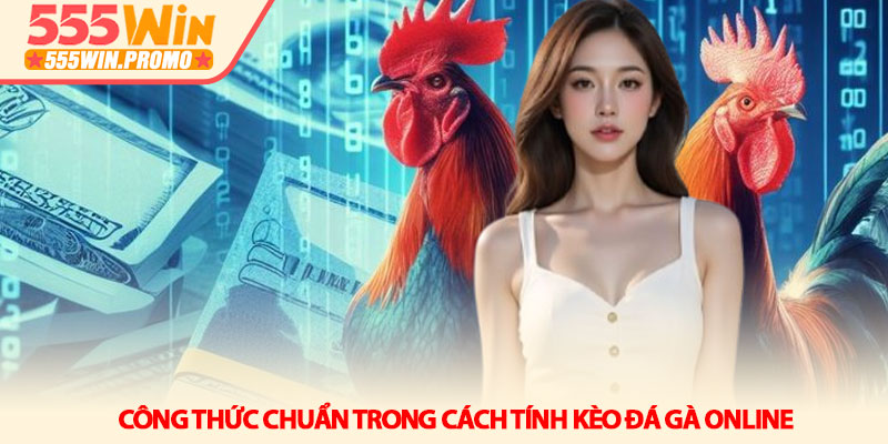 Cách tính kèo đá gà online - Chi tiết tại nhà cái 555Win 4 Công thức chuẩn trong Cách tính kèo đá gà online