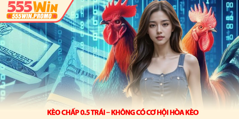 Cách tính kèo đá gà online - Chi tiết tại nhà cái 555Win 3 Kèo chấp 0.5 trái – Không có cơ hội hòa kèo