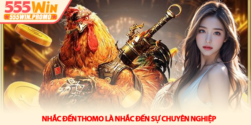 Đá gà Thomo - Bản sắc sới đấu và tư duy soi kèo tại 555Win 2 Nhắc đến Thomo là nhắc đến sự chuyên nghiệp