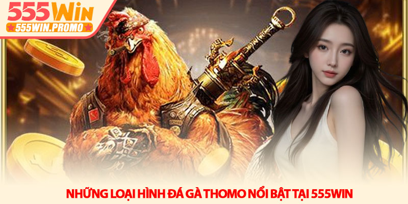 Đá gà Thomo - Bản sắc sới đấu và tư duy soi kèo tại 555Win 3 Những loại hình Đá gà Thomo nổi bật tại 555Win