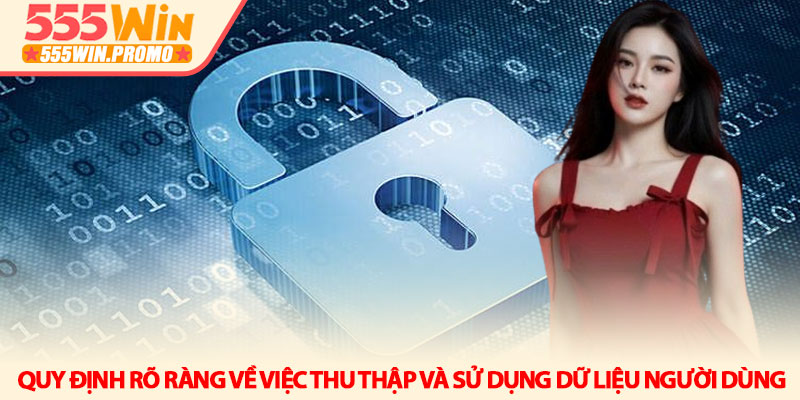 Chính sách bảo mật 555Win - Hệ thống bảo vệ dữ liệu tối tân 2 Quy định rõ ràng về việc thu thập và sử dụng dữ liệu người dùng