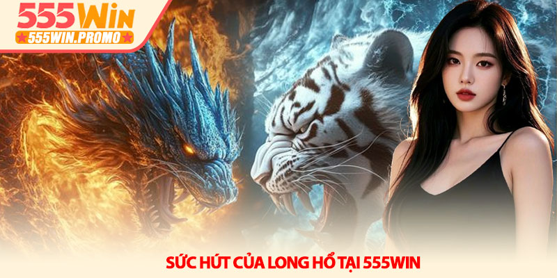 Long Hổ 555Win - Giải mã sức hút và chiến thuật thắng lớn 2 Sức hút của Long Hổ tại 555Win