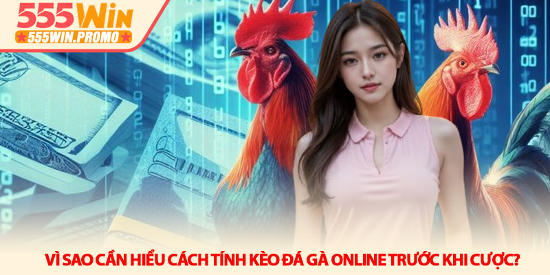 Cách tính kèo đá gà online - Chi tiết tại nhà cái 555Win 2 Vì sao cần hiểu cách tính kèo đá gà online trước khi cược?